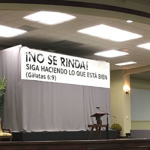 Meet your Posher, Irma